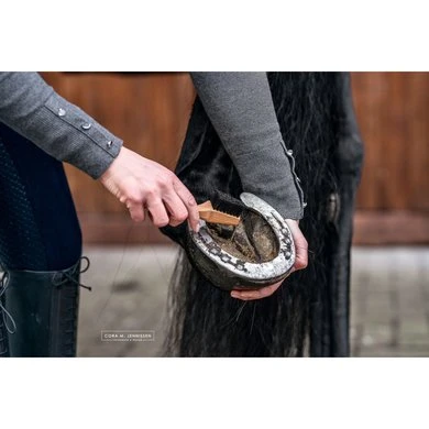 Bense & Eicke Hoevenkrabber KrabbeKarl - Afbeelding 3