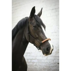 PÉNÉLOPE Pénélope Touwhalster Western