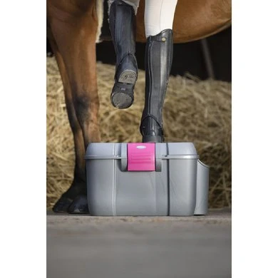 Hippotonic Poetskist Koala Fuchsia/Zilver 52,5x34x30cm - Afbeelding 3