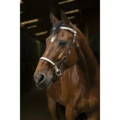 Norton Side-Pull Pro Tresse Havana