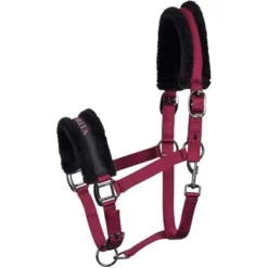 Harry's Horse Halster Lyrics Black Bordeaux