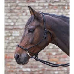 Waldhausen Touwhalster Met Teugels Zwart